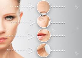 Phyt-Age  Rejuvenate Your Skin Anti-Aging Cream   Put your best face forward with renewed confidence!